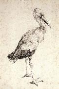 Albrecht Durer, The Stork